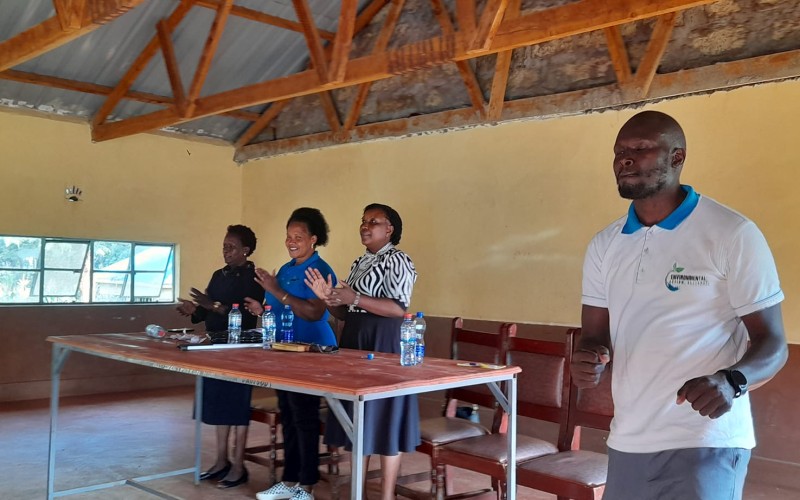 Mentorship programs in schools